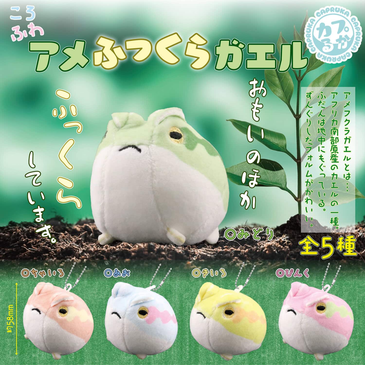 ころふわアメふっくらガエルの商品画像